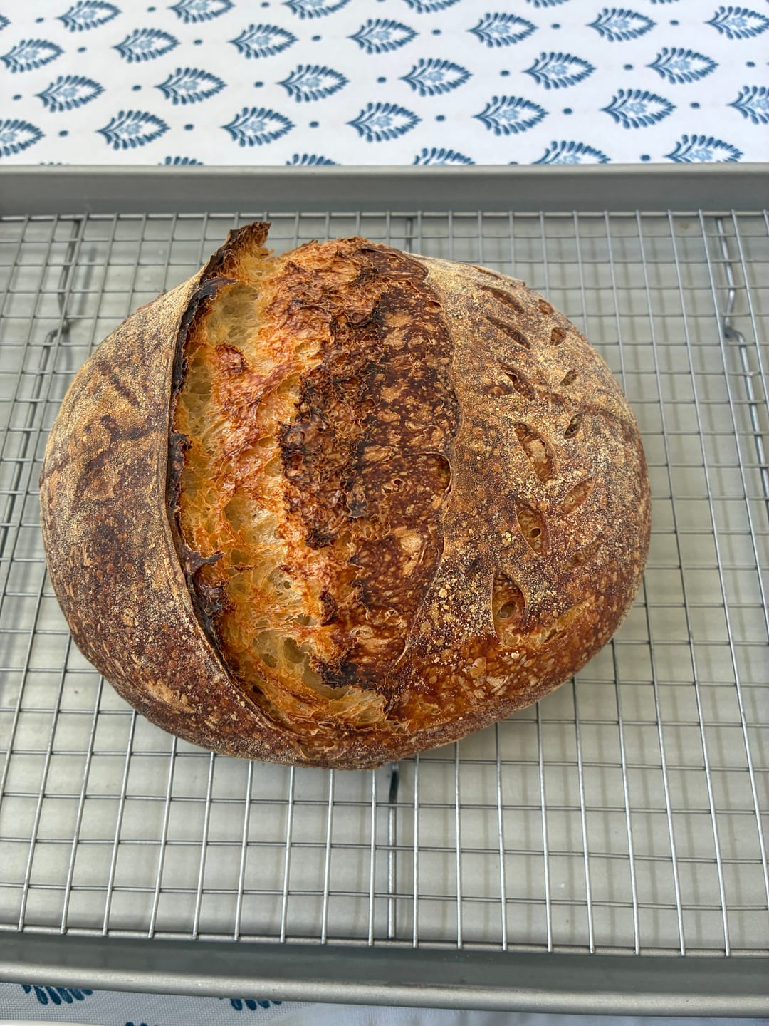 Customer photo review of Sourdough Recipe Bundle: A Collection Of 5 Our Most Viral & Requested Recipes!