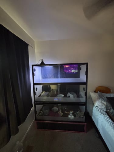 Customer photo review of 85 Gallon Snake Enclosure 48''x24''x18''