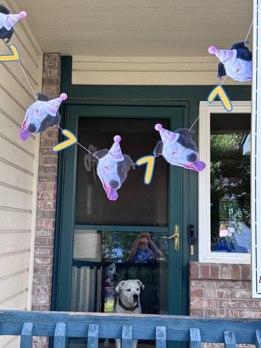 Customer photo review of Personalized Dog Party Pack