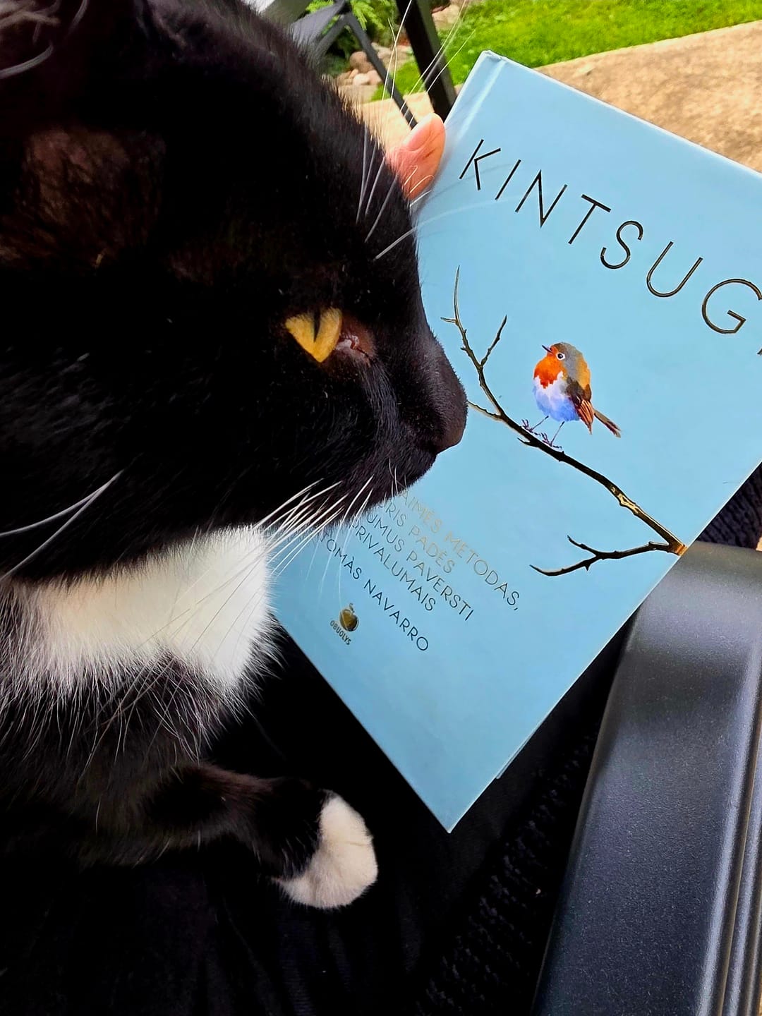 Customer photo review of Kintsugi: slaptas japonų laimės metodas, kuris padės gyvenimo trūkumus paversti privalumais