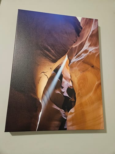 Customer photo review of Create Your Own Canvas Set - Portrait