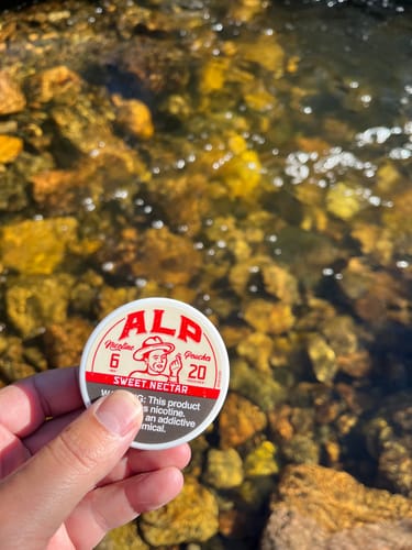 Customer photo review of Sweet Nectar Nicotine Pouches