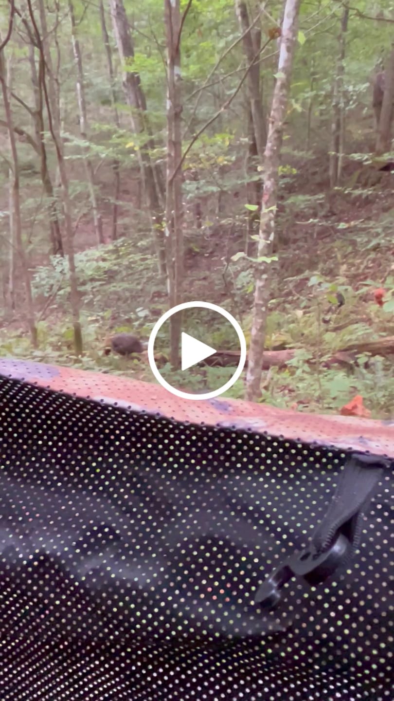 Customer video review of FLASH SALE 270° See Through 1-2 Person Hunting Blind, Pop Up Ground Deer Blind