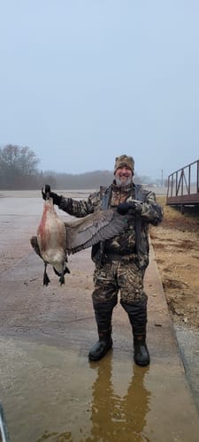 Customer photo review of TorridWade Heated Duck Waterfowl Hunting Breathable Chest Waders