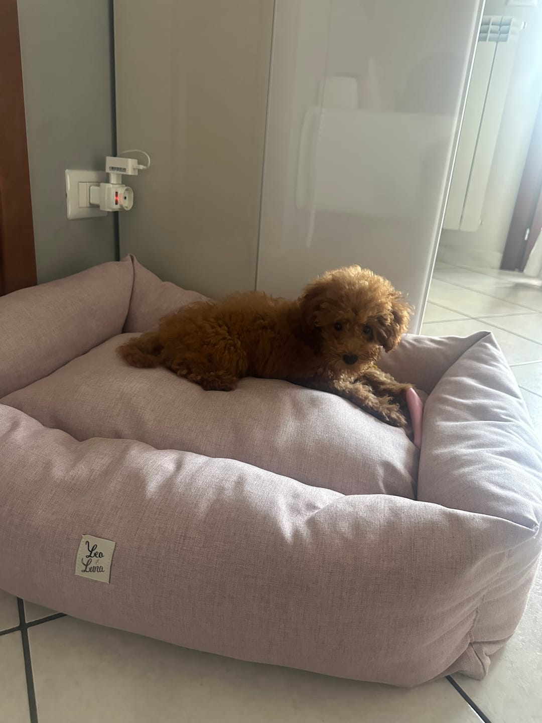 Customer photo review of Divanetto Mattias Rosa Tenue (Soft Touch)
