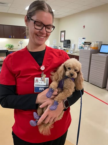 Customer photo review of WagWellies® Mojave Neon Orange