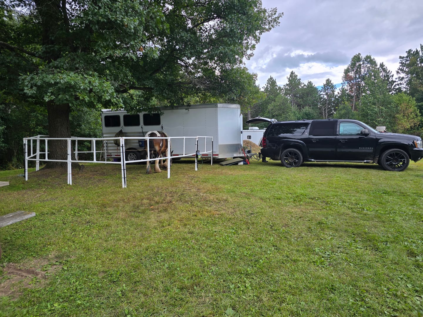 Customer photo review of DIY Honey-Do Box Set: Standard (8 Panels; 2 Rails)