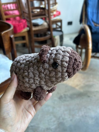 Customer photo review of Alize Velluto