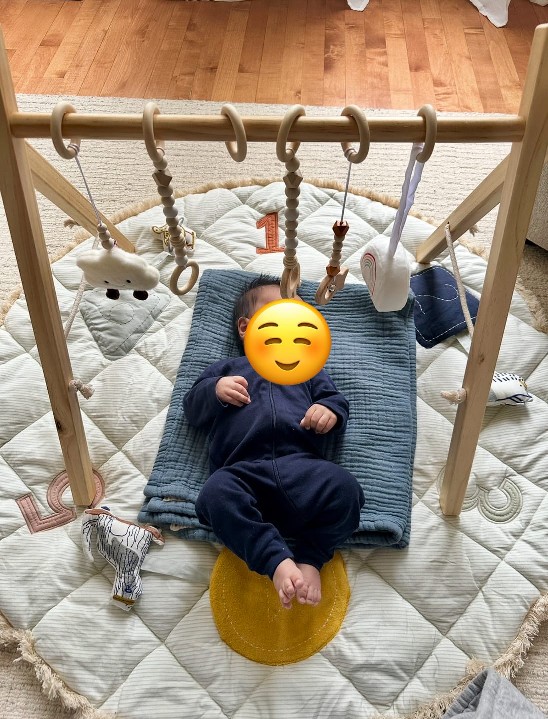 Customer photo review of Lilac Wooden Baby Gym | Montessori Infant Play Gym with Hanging Toys
