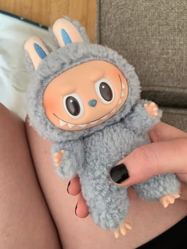 Customer photo review of Labubu The Monsters Exciting Macaron Series Plush Pendant Blind Box