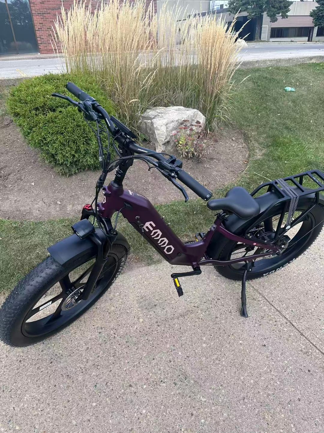 Customer photo review of Vegar Pro