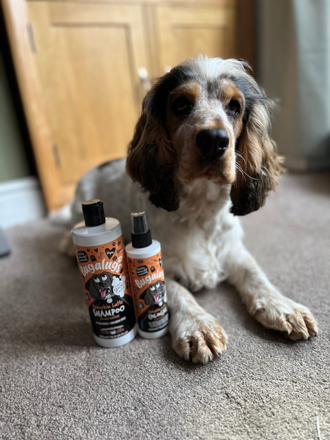 Customer photo review of Spooky Edition: Pumpkin Latte Dog Cologne