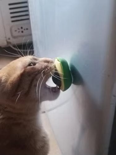 Customer photo review of Kittycado -  Natuurlijke Kalmerende Kauwspeeltje
