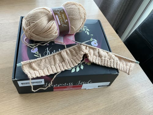 Customer photo review of Ladies Mystery Knitting Box (Bi-Monthly)