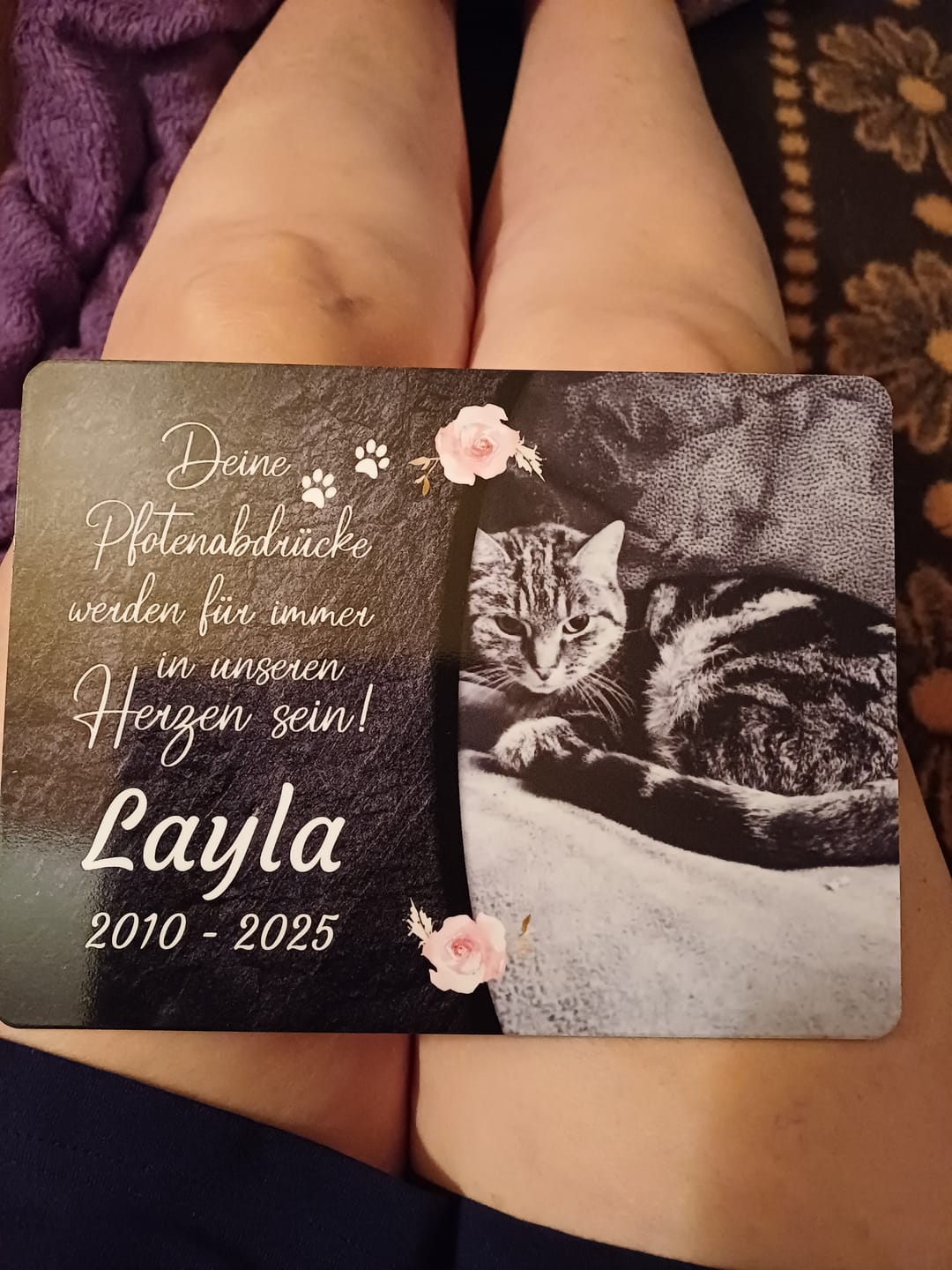 Customer photo review of Katzen Gedenktafel mit Foto & Spruch (UV- & Wetterfest)