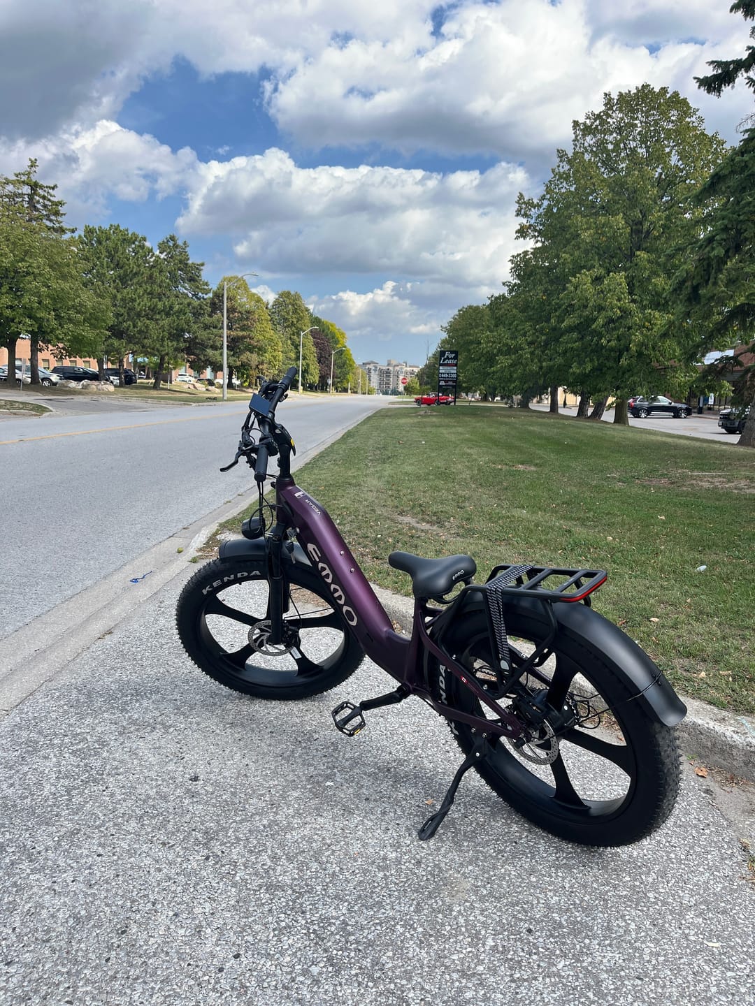 Customer photo review of Vegar Pro