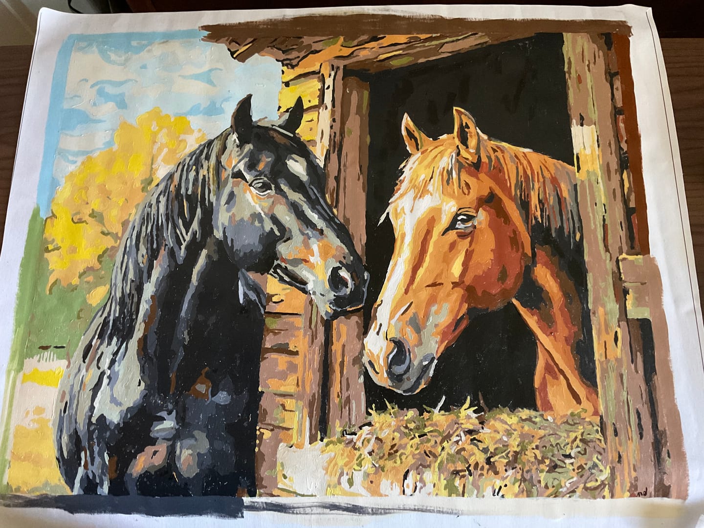 Customer photo review of Stable Companion