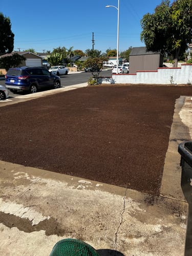 Customer photo review of GCI Turf Cool Blue Grass Seed