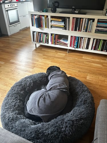 Customer photo review of CalmBed - Motverkar stress & hjälper mot ångest