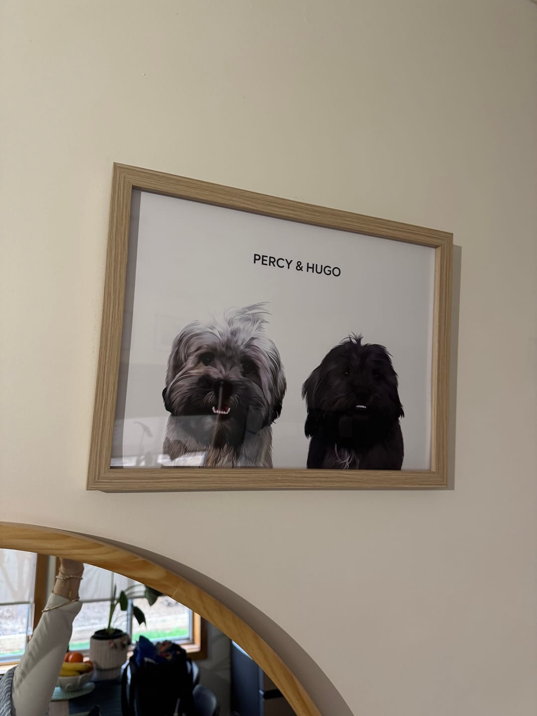 Customer photo review of 2 Pets