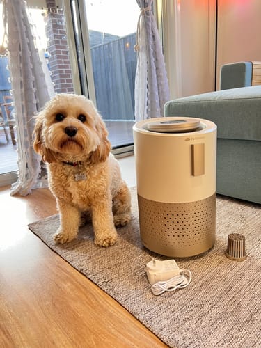 Customer photo review of Pet Air Purifier