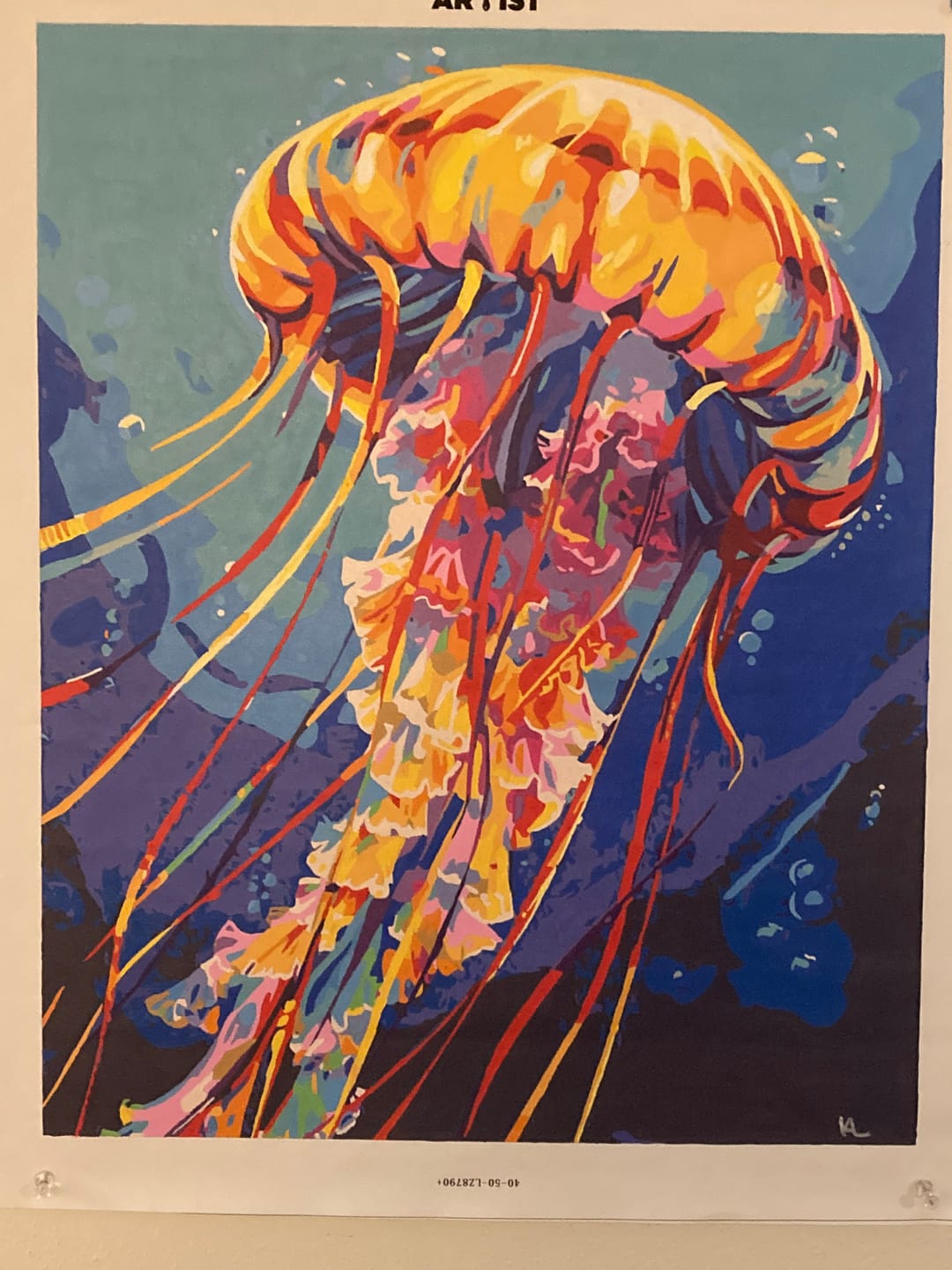 Customer photo review of King of Jellyfish