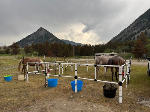 Customer photo review of DIY Honey-Do Box Set: Standard 40' Round Pen (20 Panels; 2 Rails)