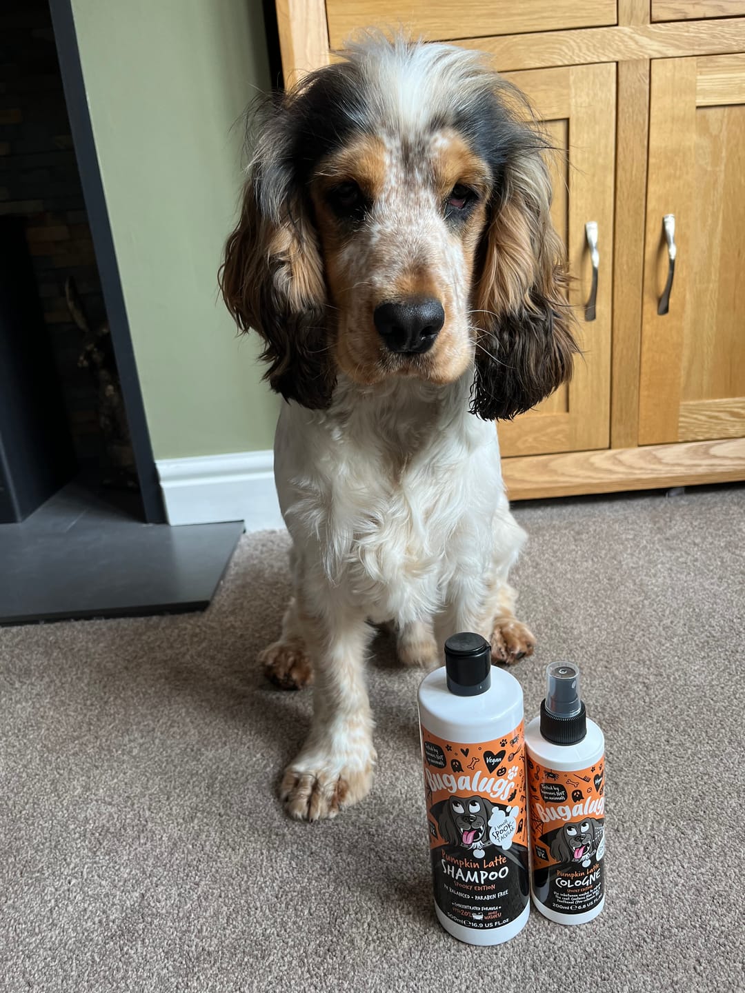 Customer photo review of Spooky Edition: Pumpkin Latte Dog Shampoo