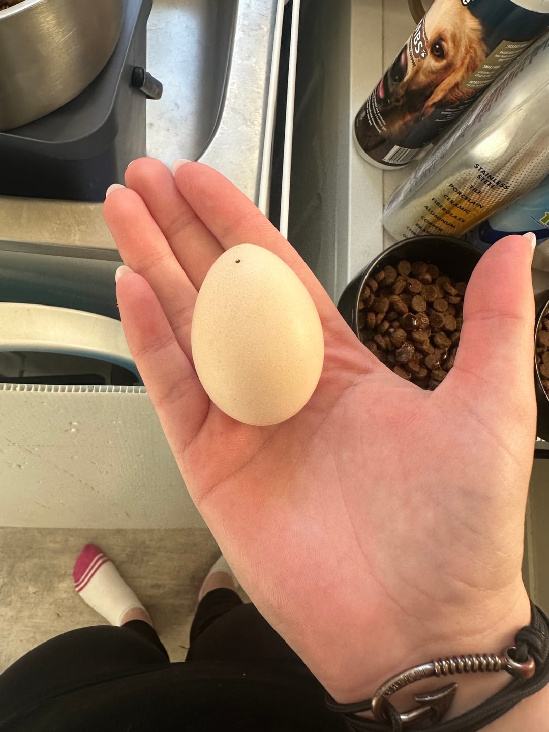 Customer photo review of Premium Yolk 19% Layer Pellets 20kg