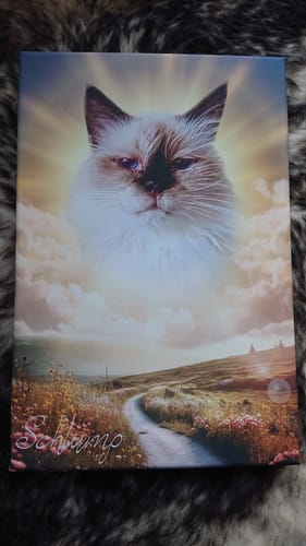 Customer photo review of Personalisiertes Portrait - Sonnen Stil