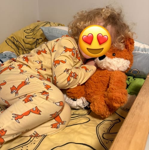 Customer photo review of Frank The Sensory Weighted Fox