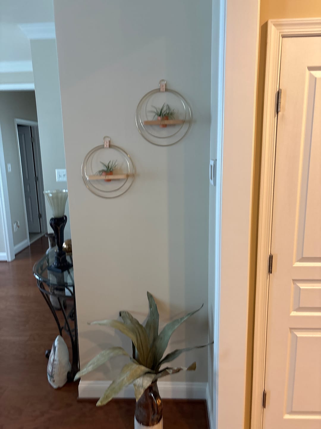Customer photo review of Air Plant Shelf + Pot Duo