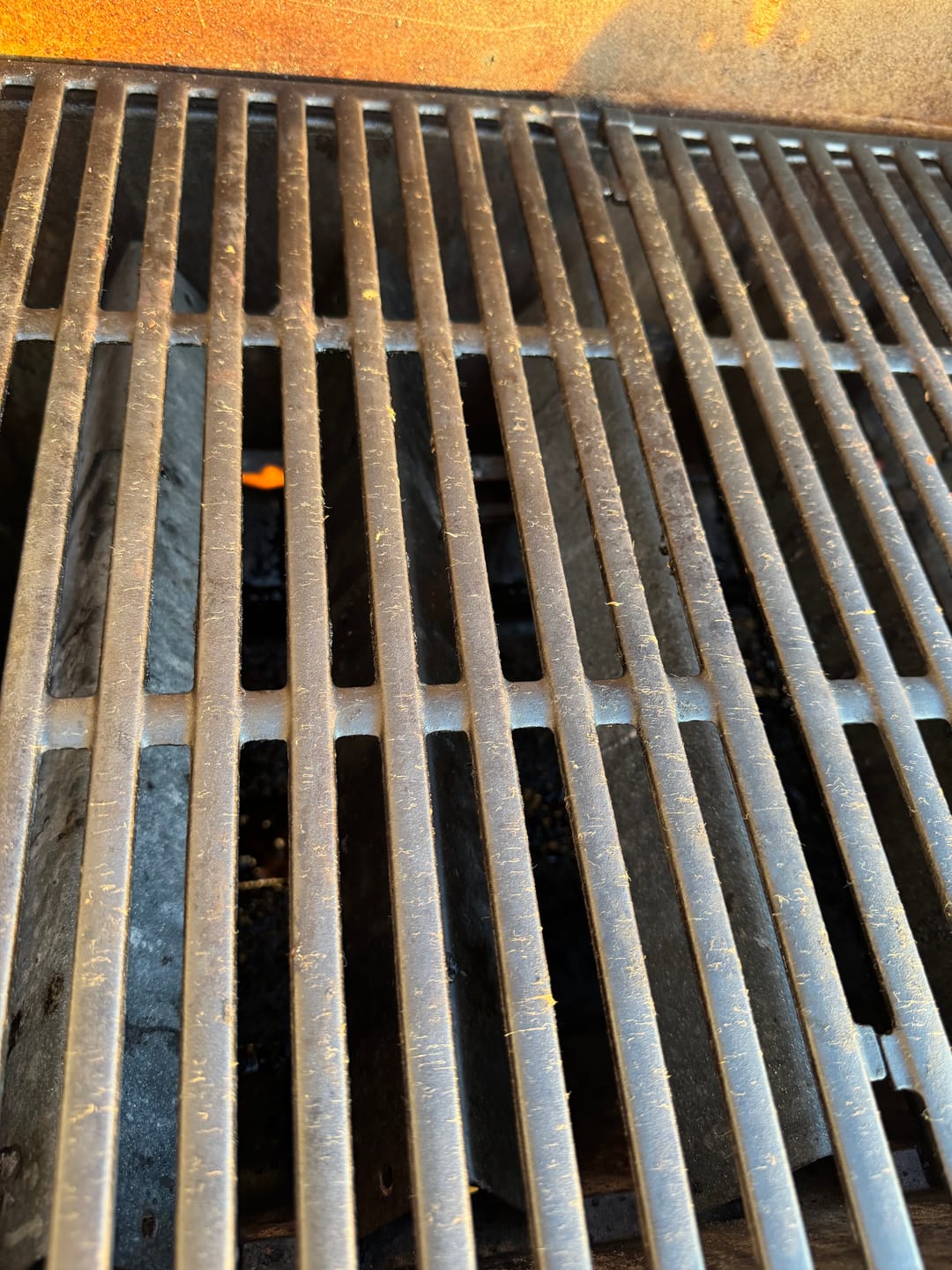 Customer photo review of Grill Brush w/ Scraper