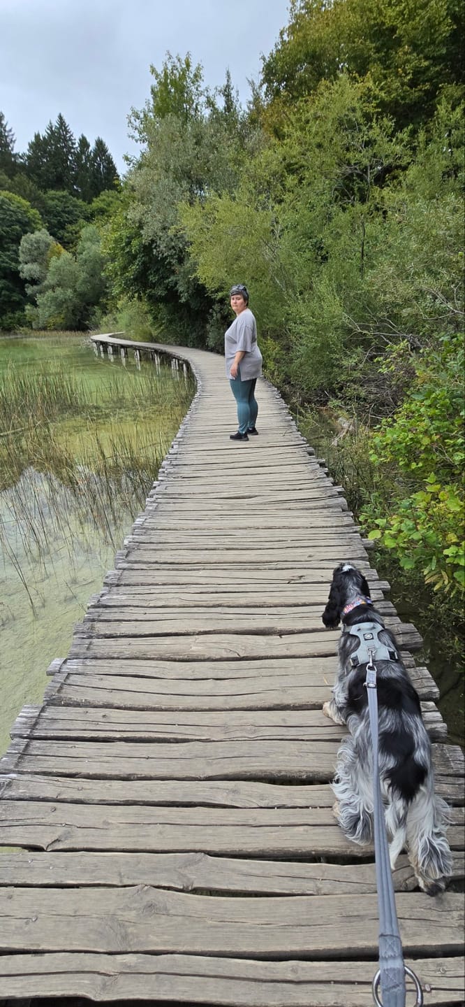 Customer photo review of Air Harness | Anti-Pull & With Handle - Grey