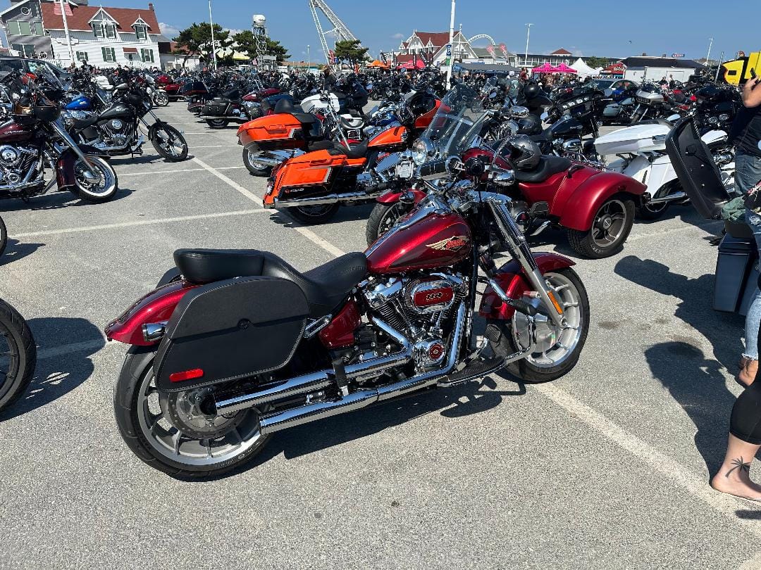 Customer photo review of 28L - Panzer Medium Quick Mount Leather Saddlebags For Harley Softail Fat Boy FLFB/S