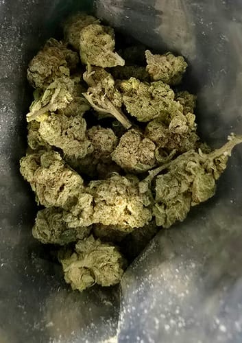 Customer photo review of Don Mega THCA Flower Smalls