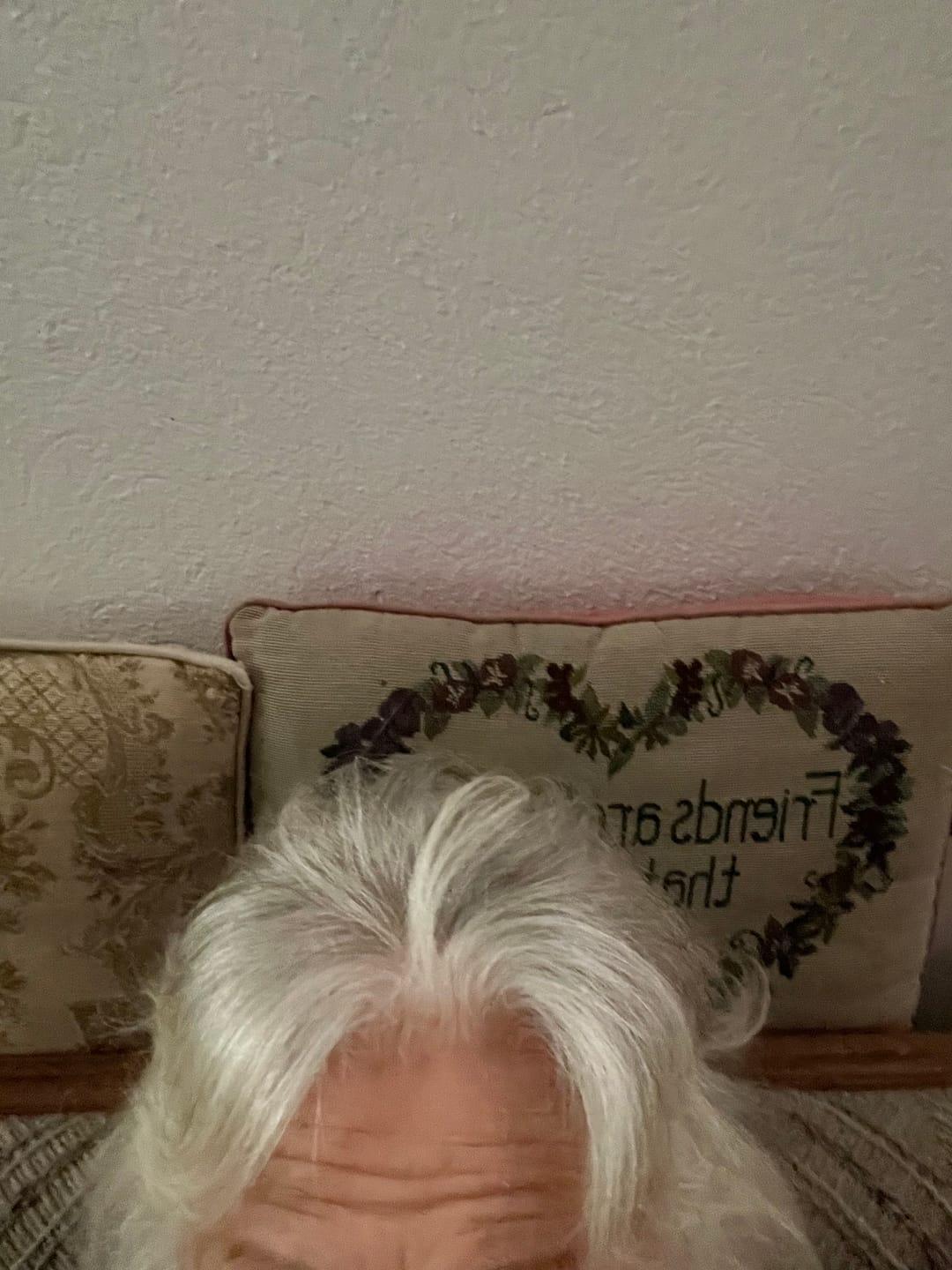 Customer photo review of SÉRUM CAPILLAIRE MULTI ACTIF BIO-DENSYL®