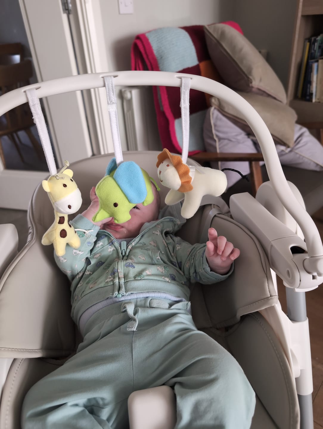 Customer photo review of Baby Elegance Nup Nup Toy Bar
