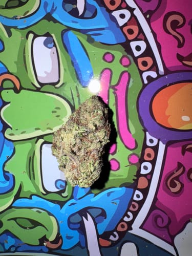 Customer photo review of Gold Spectrum THCA Flower - Top Quality Strain of the Month
