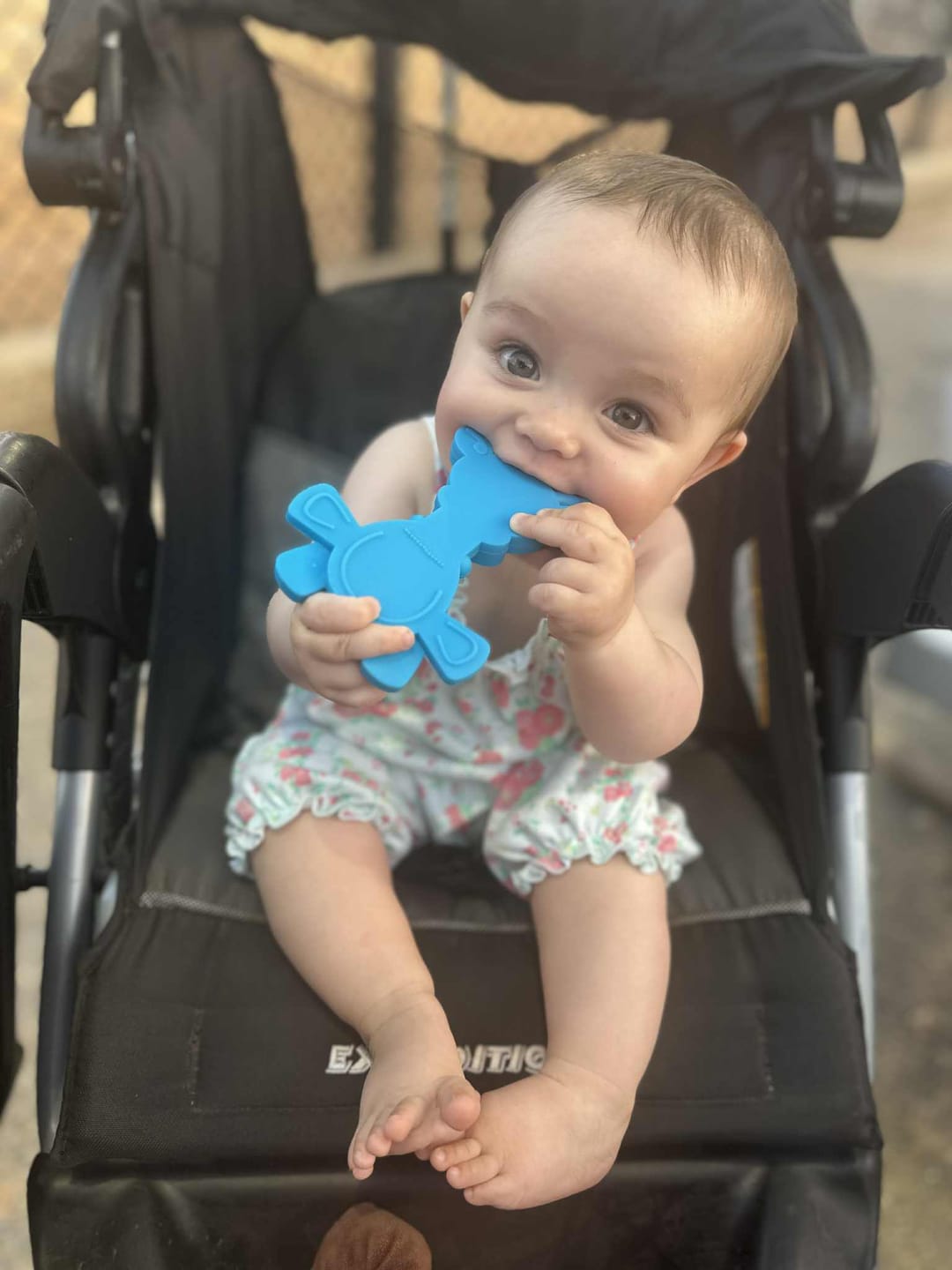 Customer photo review of Dibly Amber - Baltic Amber & Natural Rubber Dinosaur Teether with Toothbrush Tail