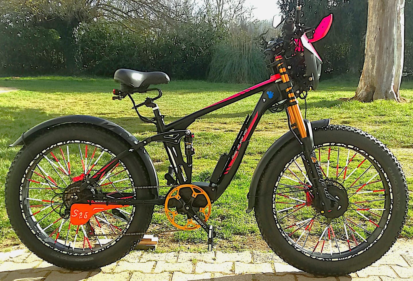 Customer photo review of DUOTTS S26 Electric Bike