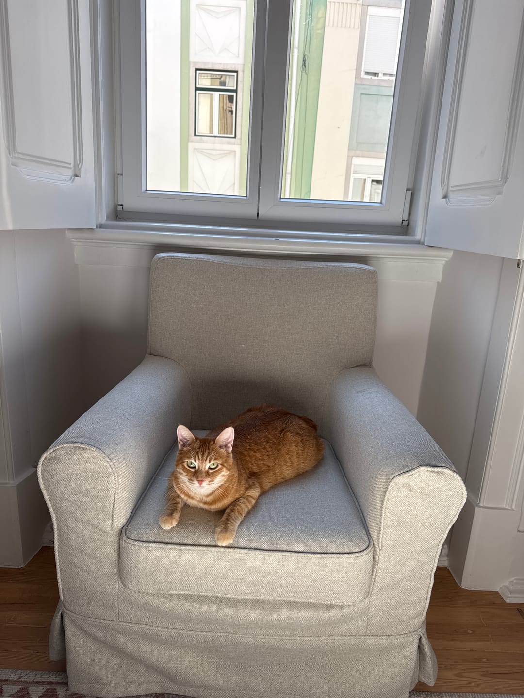 Customer photo review of JENNYLUND IKEA Armchair Cover