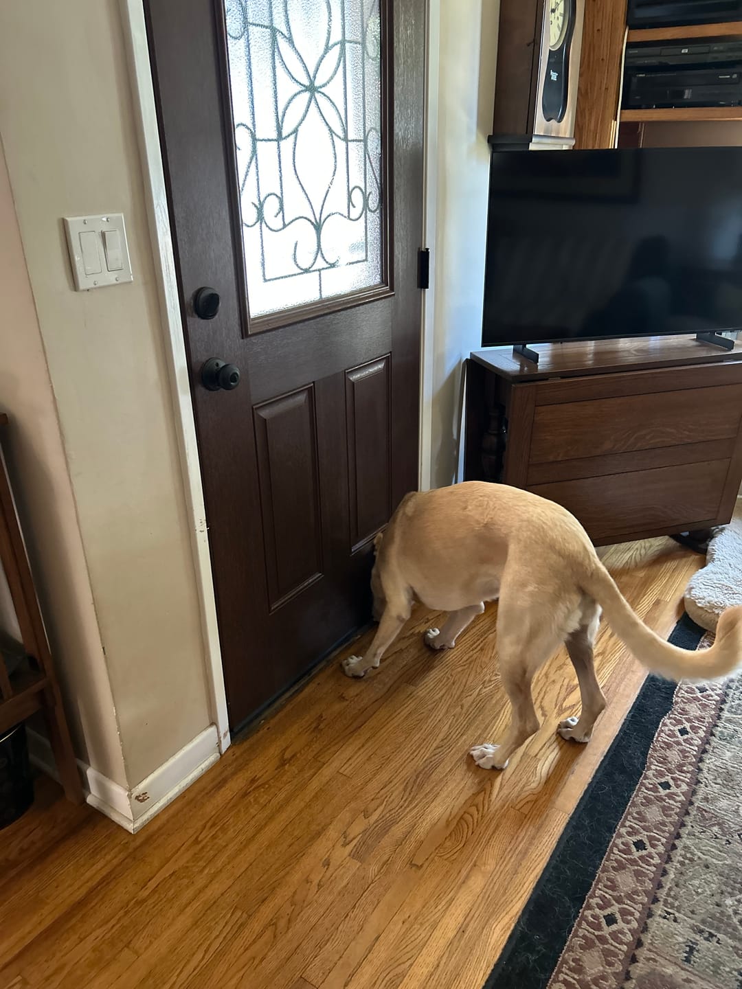 Customer photo review of Therma-Tru Drive-On Door Sweep