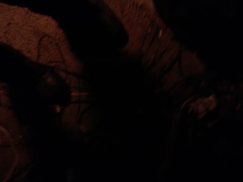 Customer photo review of Hukapuff CBD Puff Disposable Vape - THC Puff - Blueberry Mist - 1000 Puffs