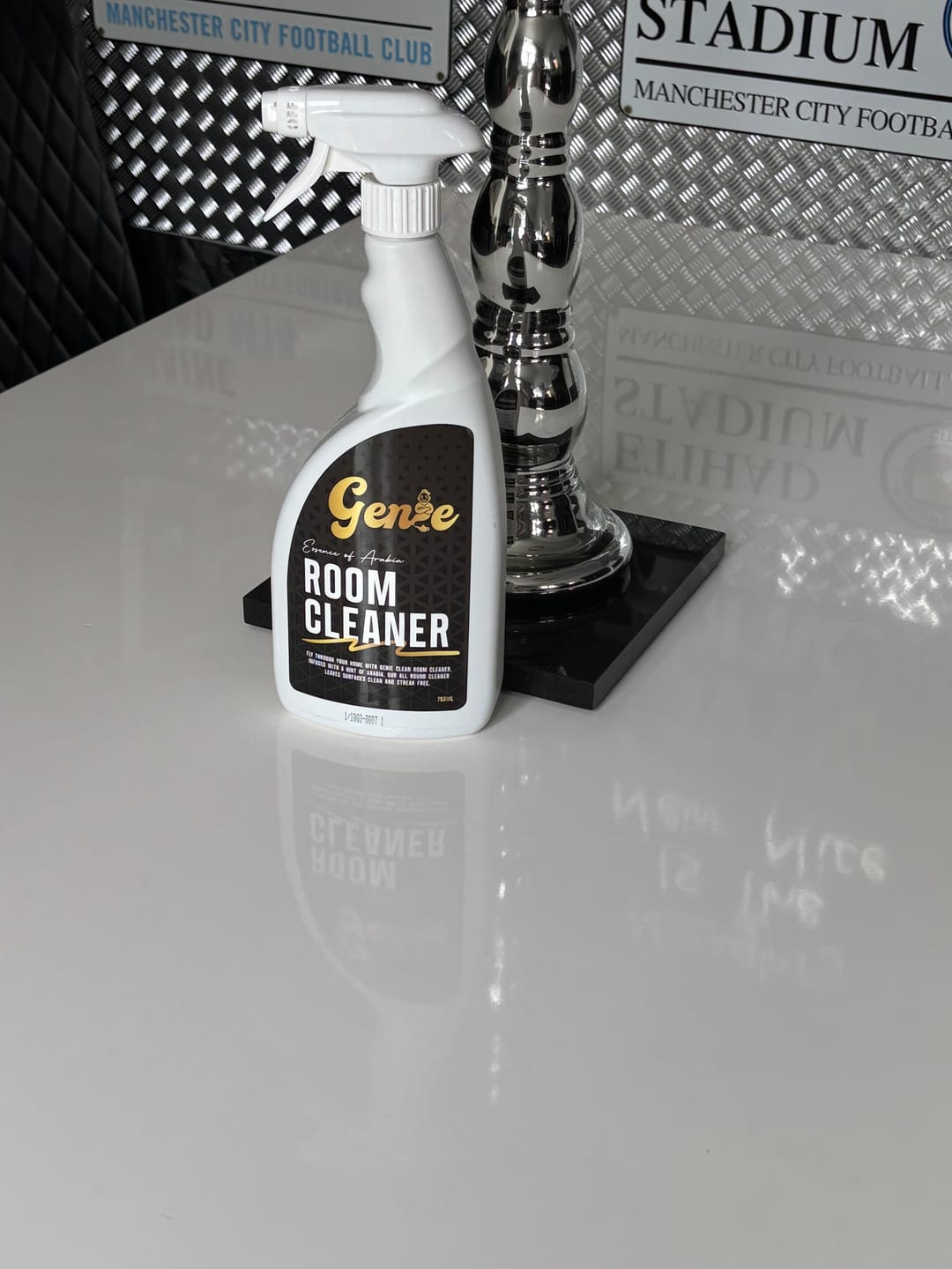Customer photo review of Genie Room Cleaner