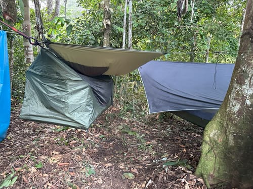 Customer photo review of Haven Safari