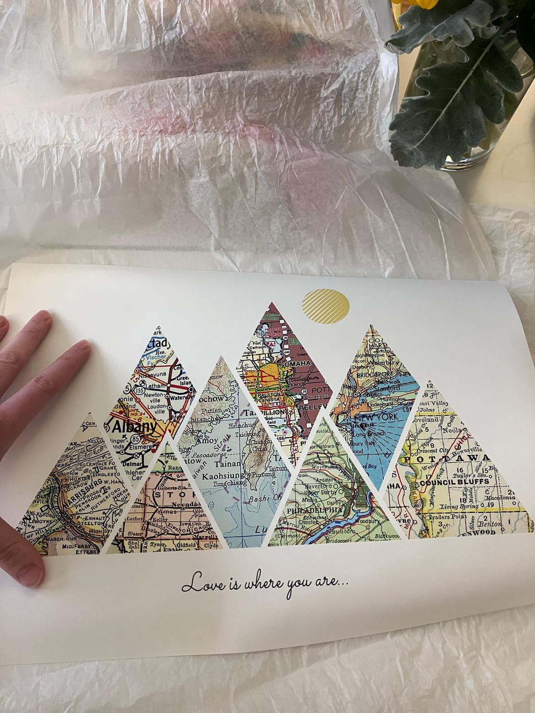 Customer photo review of Milestones Map [Digital Only]