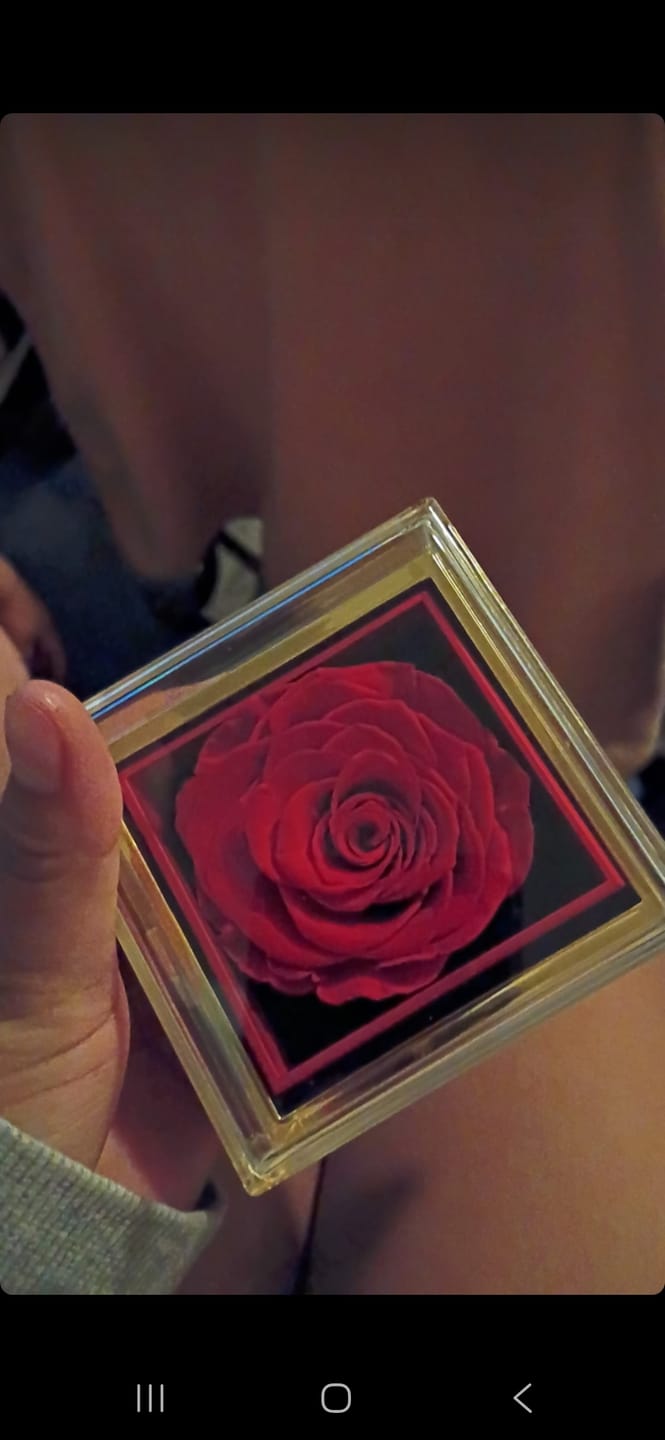 Customer photo review of Rotating Eternal Rose Gift Box