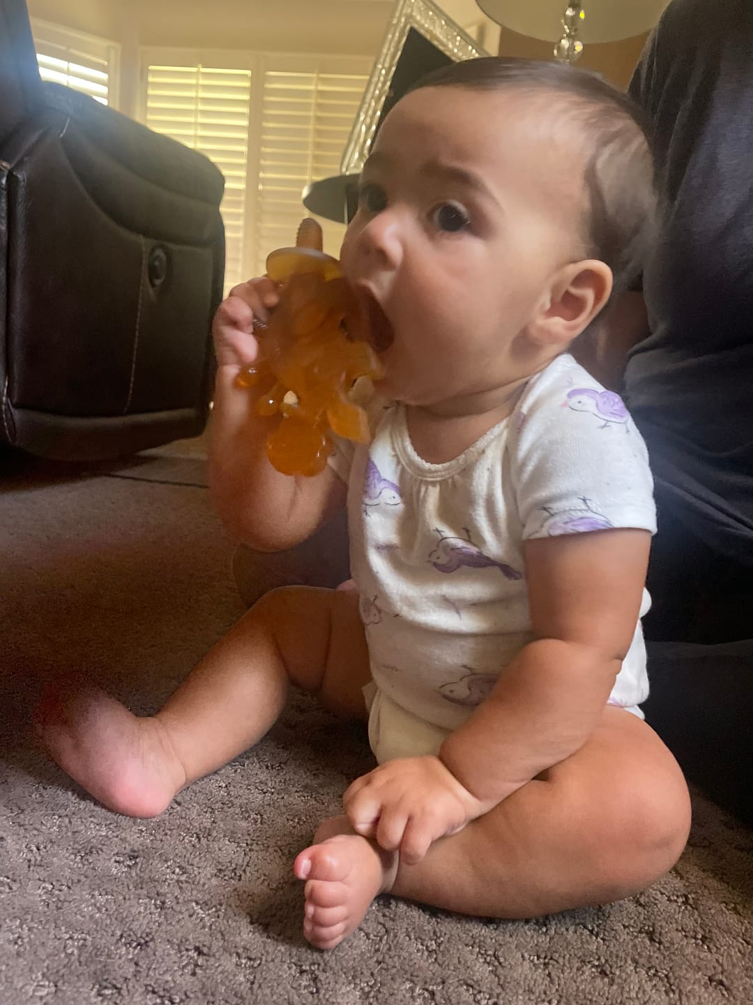 Customer photo review of Dibly Amber - Baltic Amber & Natural Rubber Dinosaur Teether with Toothbrush Tail