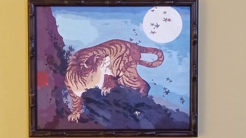 Customer photo review of The Tiger and the Moon
